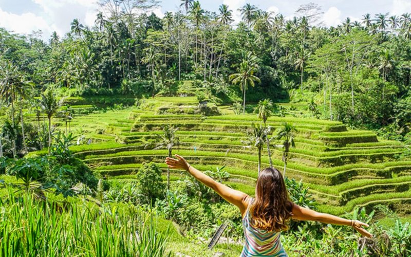 tegalalang-rice-terrace-3