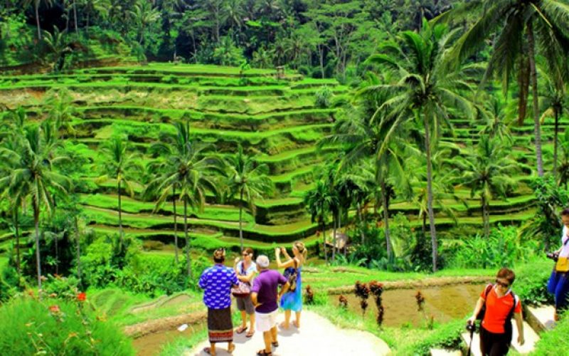 tegalalang-rice-terrace